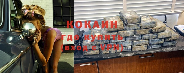 гидра Ахтубинск