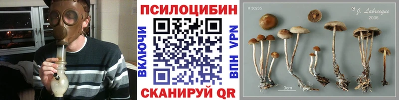 Галлюциногенные грибы Magic Shrooms  Короча 
