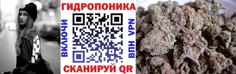 Марихуана THC 21%  закладки  Короча 